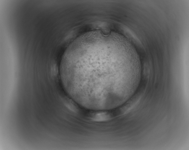 X0000111150173200907071116