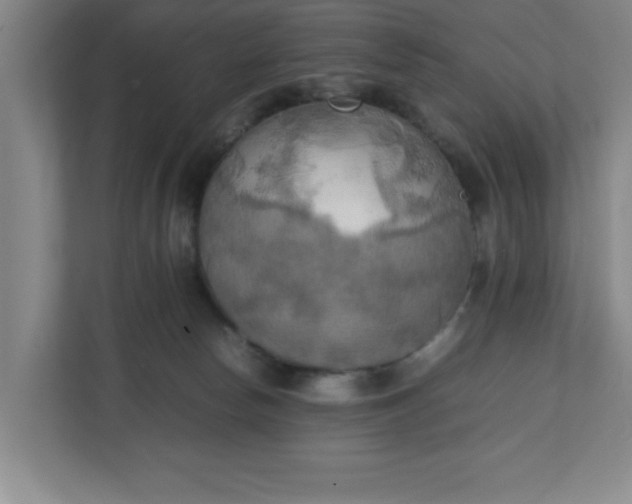 X0000111150178200907071116