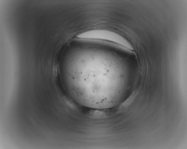 X0000111150180200907071116