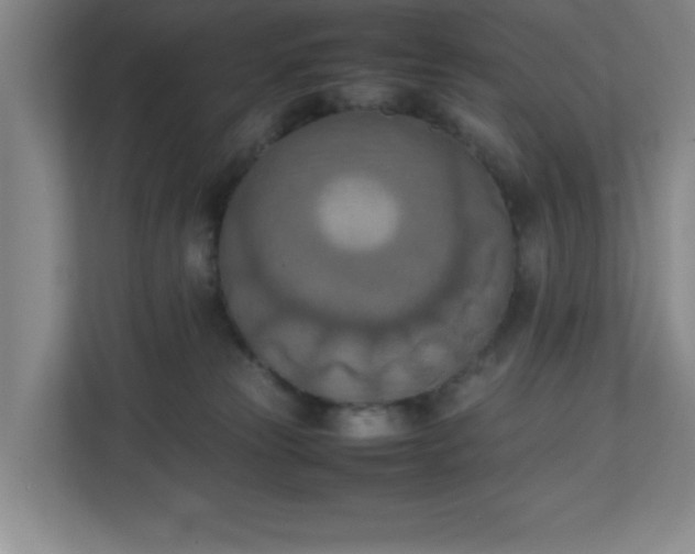 X0000111150181200907071116