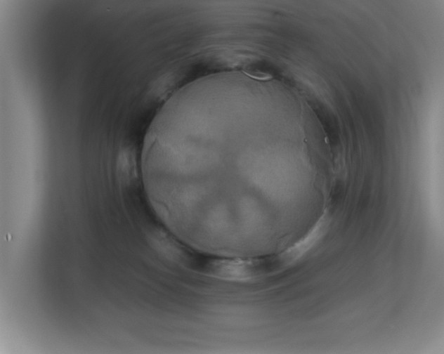 X0000111150182200907071116