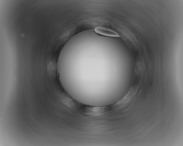 X0000111150184200907071116