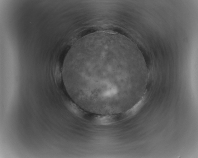 X0000111150186200907071116