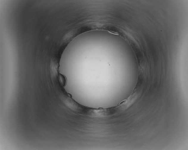 X0000111150188200907071116