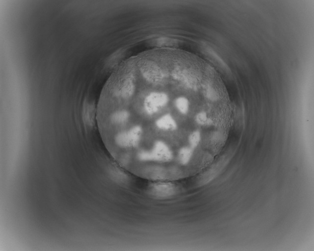 X0000111150189200907071116