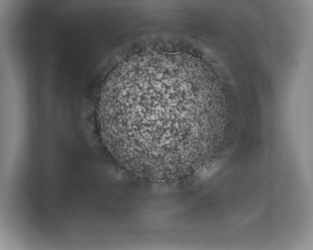 X0000111150192200907071116