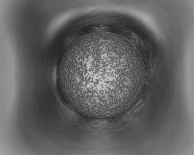 X0000111150194200907071116