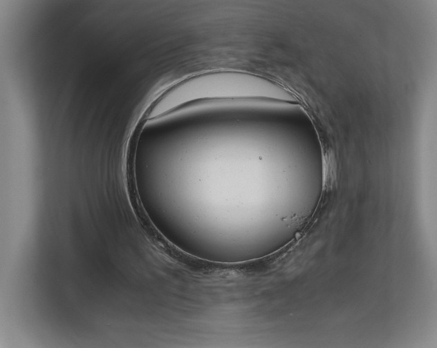 X0000111150195200907071116