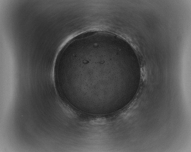 X0000111150196200907071116