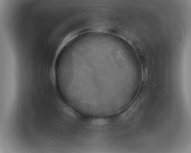 X0000111150198200907071116