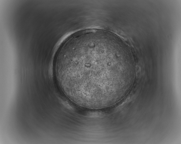 X0000111150200200907071116