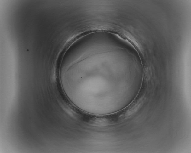 X0000111150203200907071115