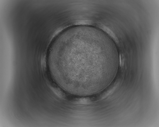 X0000111150204200907071115