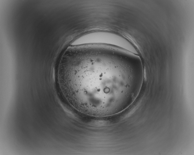 X0000111150205200907071115