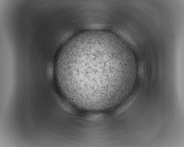 X0000111150206200907071115