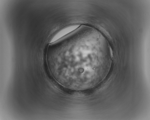 X0000111150207200907071115