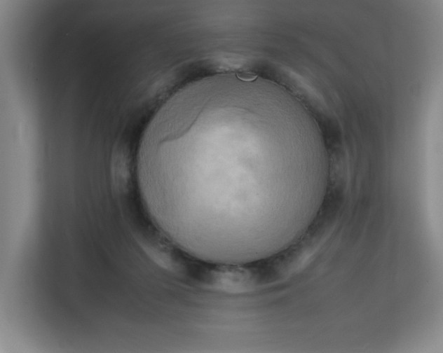 X0000111150215200907071115