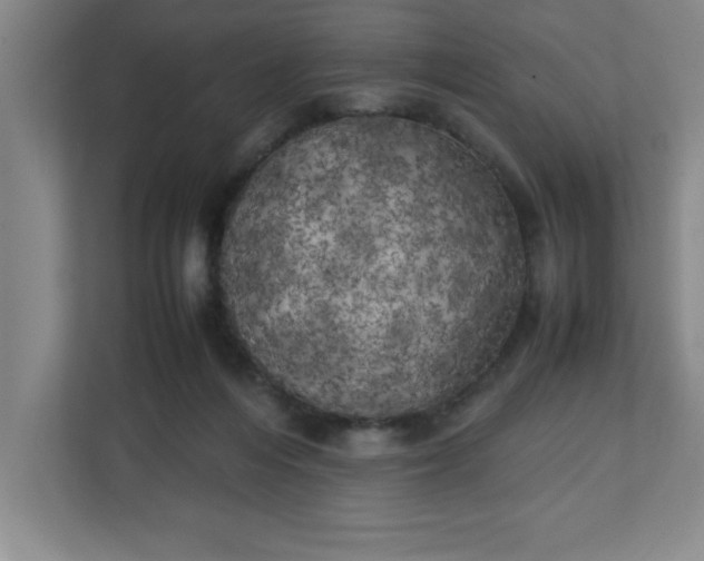 X0000111150216200907071115