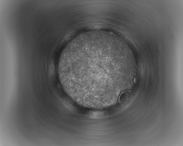 X0000111150220200907071115