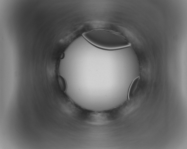 X0000111150221200907071115