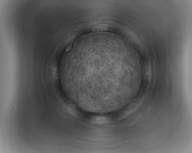 X0000111150224200907071115