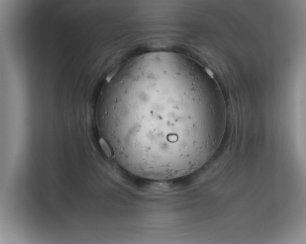 X0000111150227200907071115