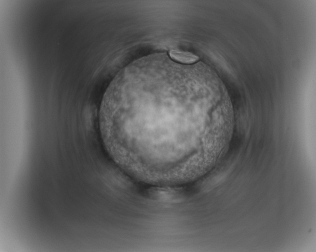 X0000111150229200907071115