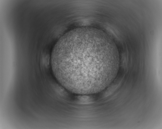 X0000111150230200907071115