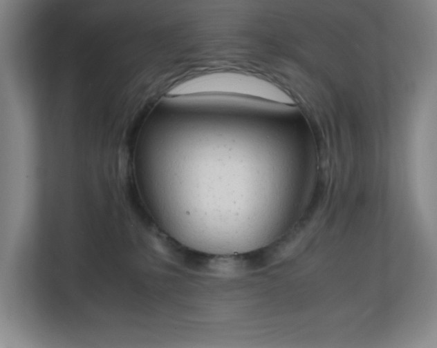 X0000111150231200907071115
