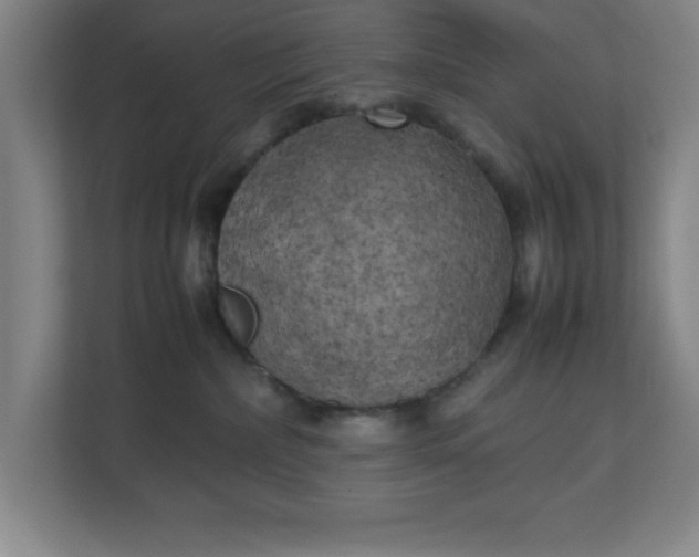 X0000111150236200907071115