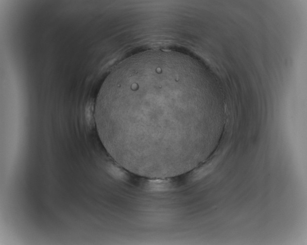 X0000111150240200907071115