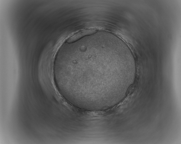 X0000111150241200907071114