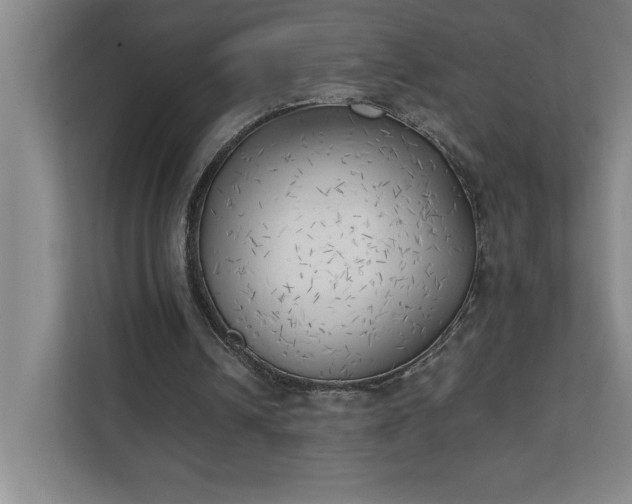 X0000111150242200907071114