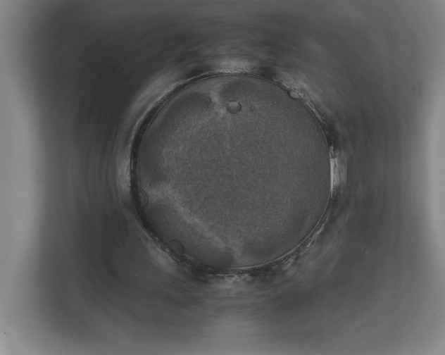 X0000111150243200907071114