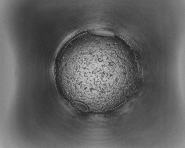 X0000111150244200907071114