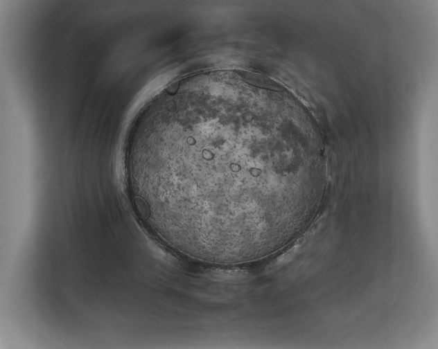 X0000111150245200907071114