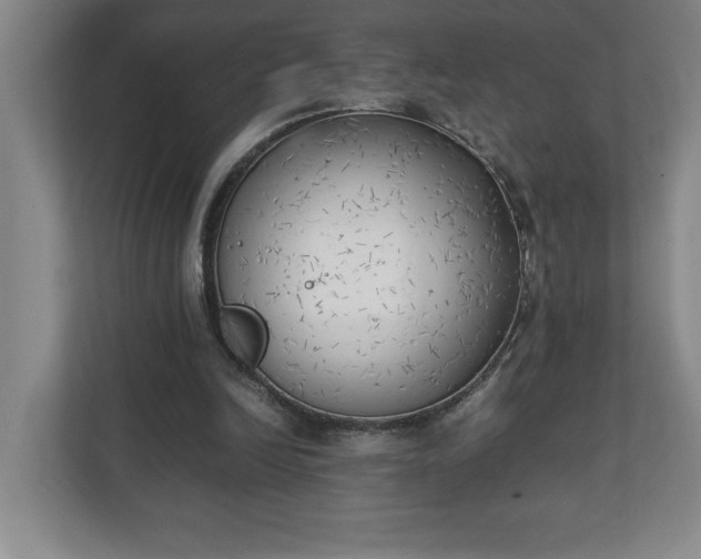 X0000111150246200907071114