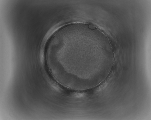 X0000111150247200907071114