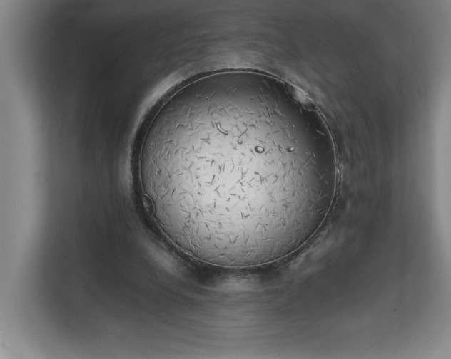X0000111150248200907071114