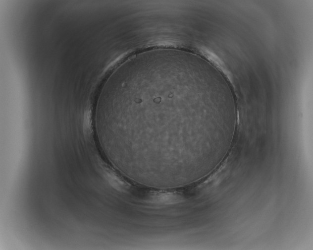 X0000111150249200907071114