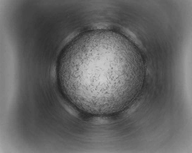 X0000111150250200907071114