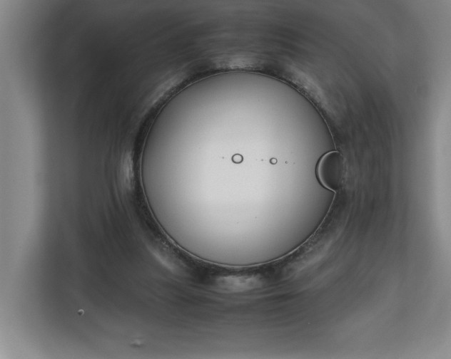 X0000111150251200907071115