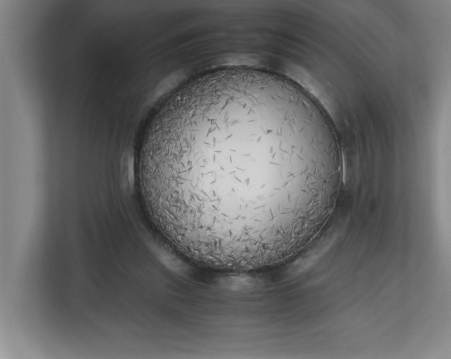 X0000111150253200907071115