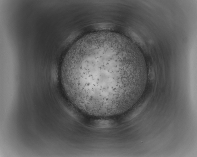 X0000111150255200907071115