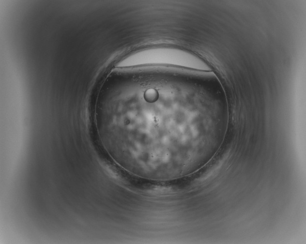 X0000111150256200907071115