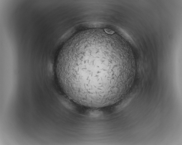 X0000111150258200907071115