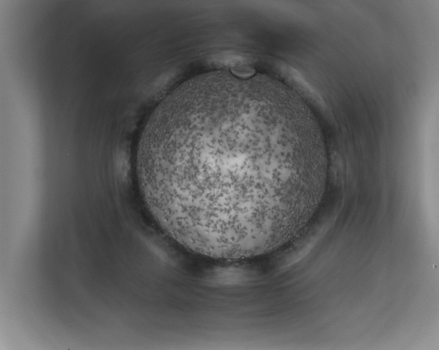 X0000111150259200907071115