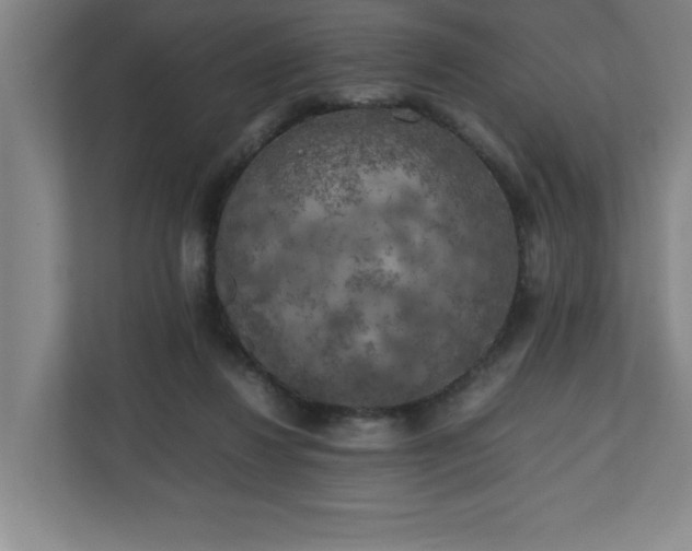 X0000111150260200907071115