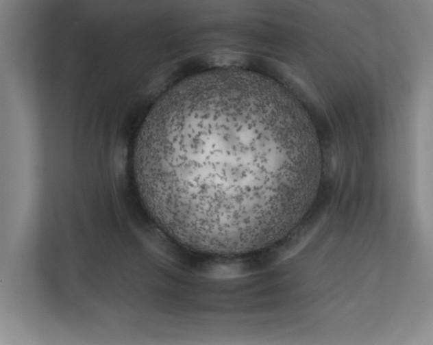 X0000111150263200907071115
