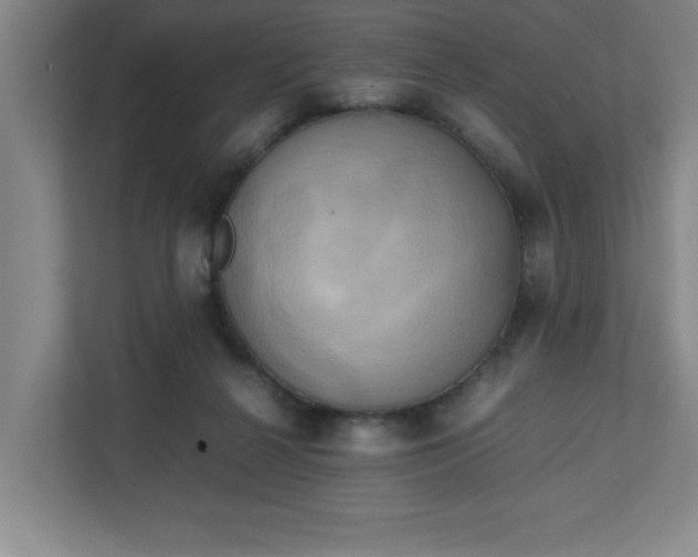 X0000111150264200907071115